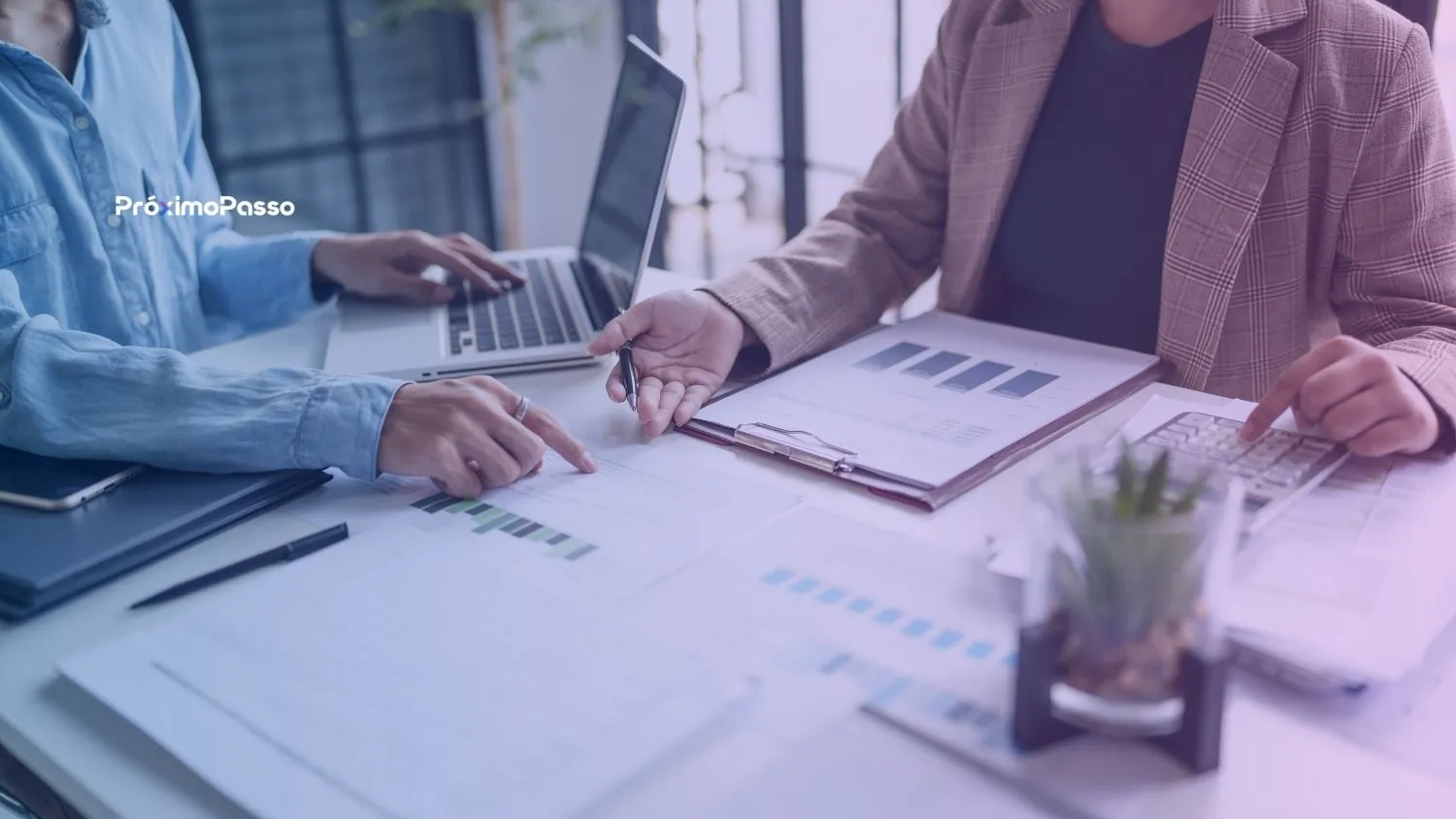 Como Aumentar a Receita Orgânica em 40% Otimizando o que Você Já Tem