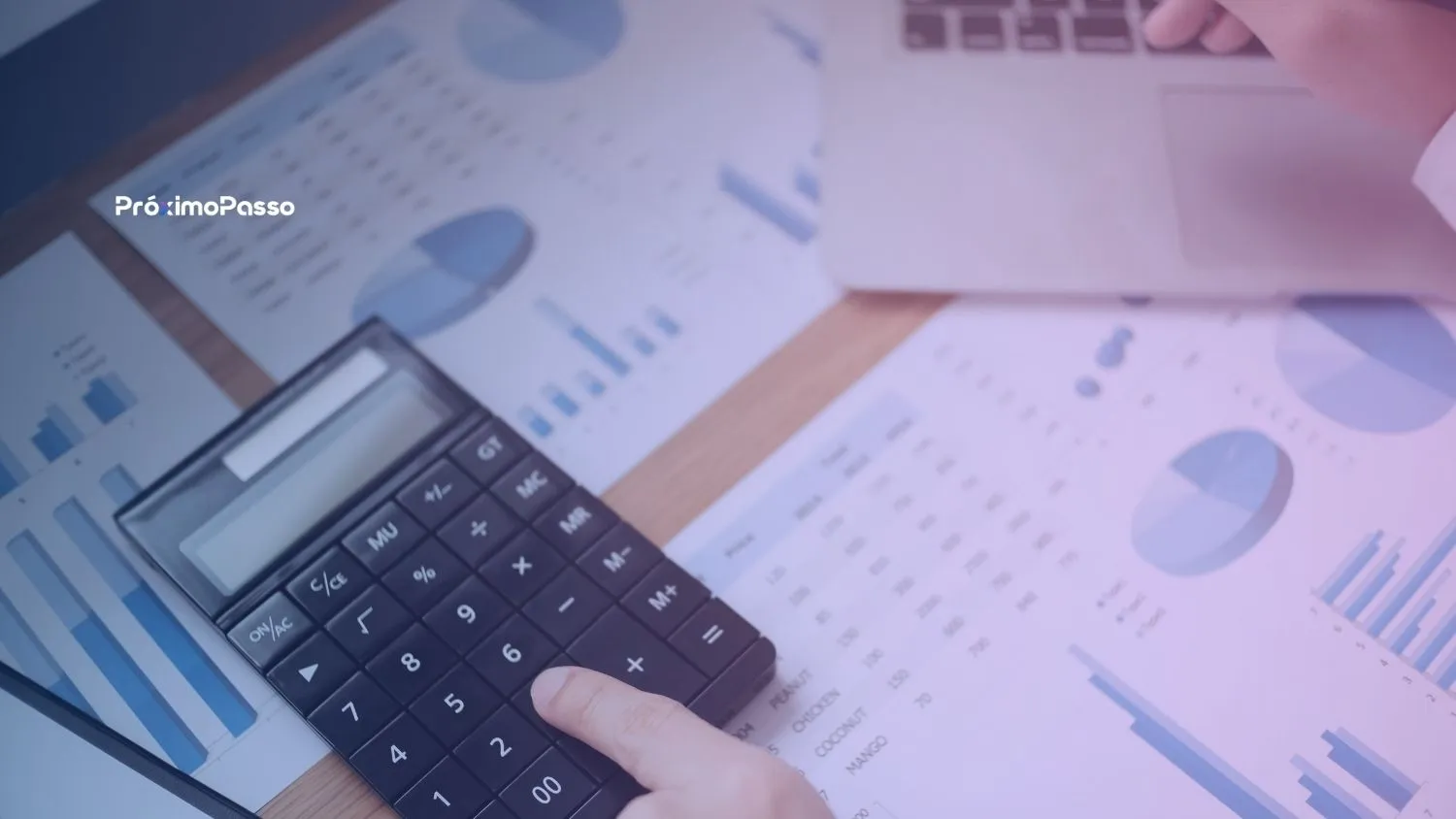 Independência Digital: Como o SEO Reduz sua Dependência e as Taxas