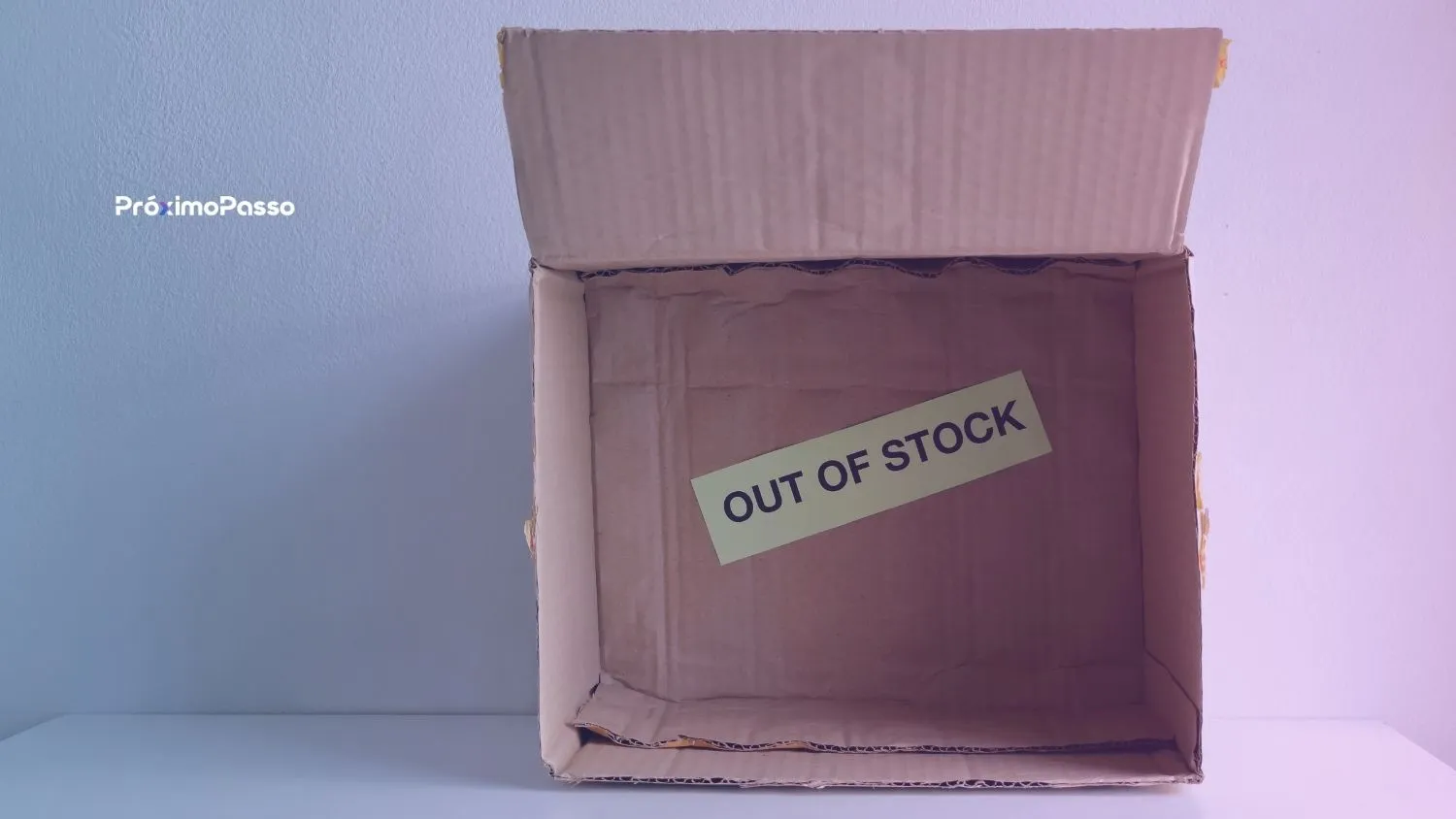 Produtos Esgotados: Como Gerenciar Estoque Rotativo sem Matar seu SEO