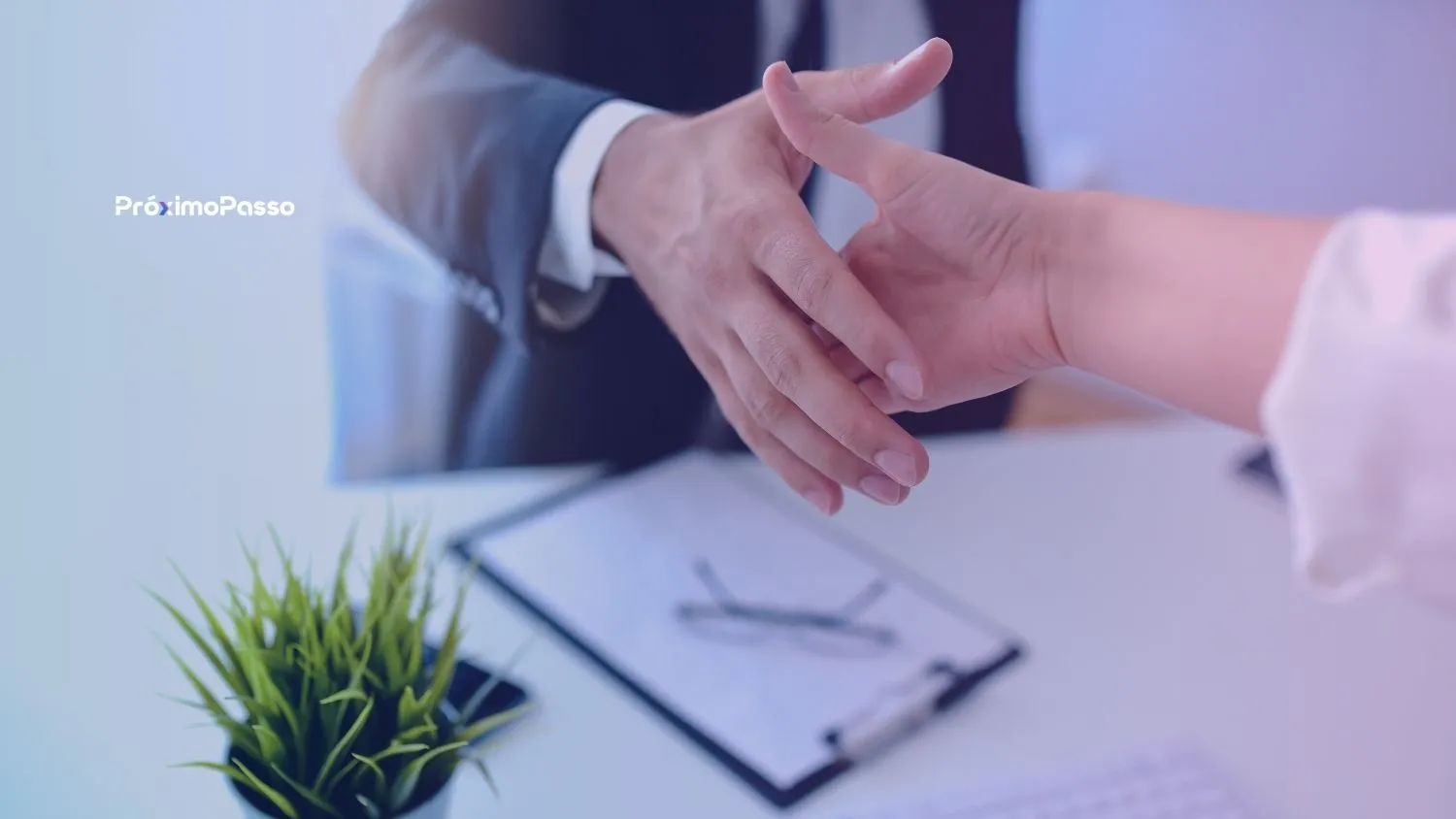 5 Perguntas para Fazer a Agências de SEO Antes de Assinar Contrato